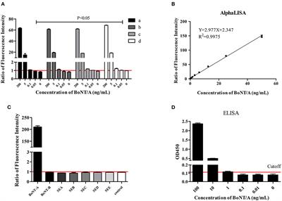 Rapid and sensitive detection of botulinum toxin type A in complex sample matrices by AlphaLISA